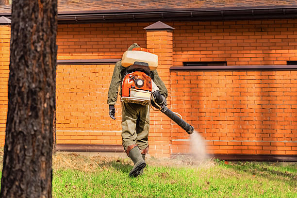 Top rated local Ant Control specialists in Martinsville, VA